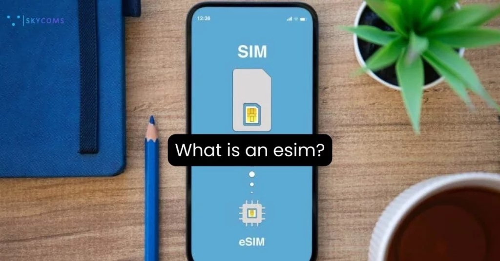 what are e sims